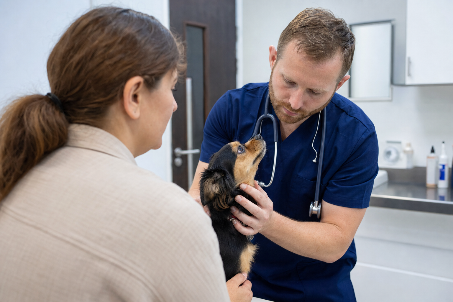 How to Contact Croydon Vets